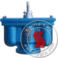Two-port exhaust valve