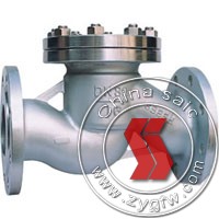 up-down check valve
