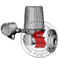 Vector Flanged Level Transmitter